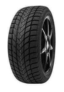 Delinte Winter WD6